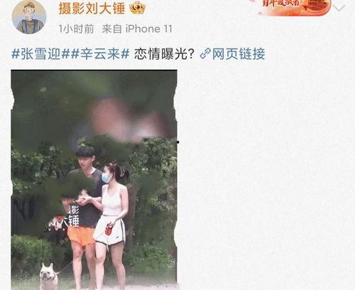 娱乐圈吃瓜劲爆的视频,劲爆视频背后的惊人真相