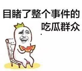 娱乐吃瓜群众模板怎么写,揭秘明星背后的故事，带你走进明星私生活