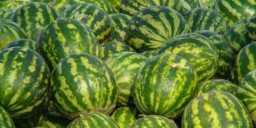 娱乐吃瓜酱西瓜,揭秘娱乐圈那些鲜为人知的瓜皮故事